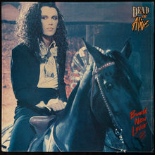 Load image into Gallery viewer, DEAD OR ALIVE - BRAND NEW LOVER (12") (USED VINYL 1986 US M-/M-)
