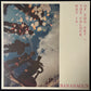 BANANAGUN - WHY IS THE COLOUR OF THE SKY? (USED VINYL 2024 AUS M-/M-)