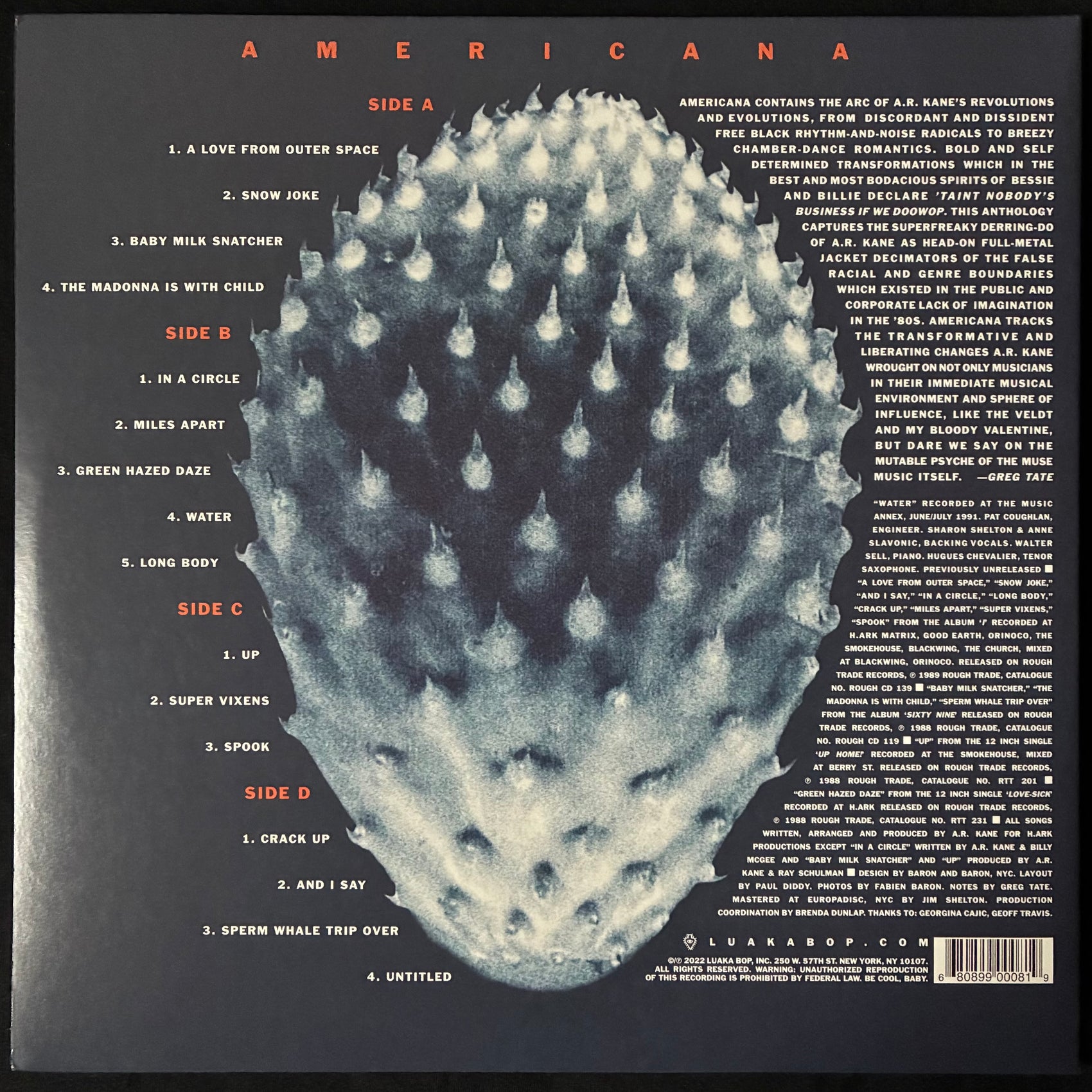 A.R. KANE - AMERICANA (2LP) (USED VINYL 2022 US M-/M-)