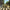 BEATLES - ABBEY ROAD (USED VINYL 2019 EU M-/EX+)