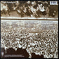 TODD RUNDGREN - TODD (2LP) (USED VINYL 1987 US M-/EX)