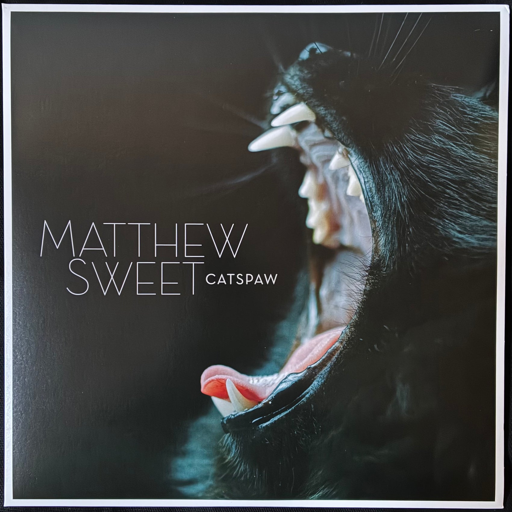 MATTHEW SWEET - CATSPAW (USED VINYL 2021 US M-/M-)