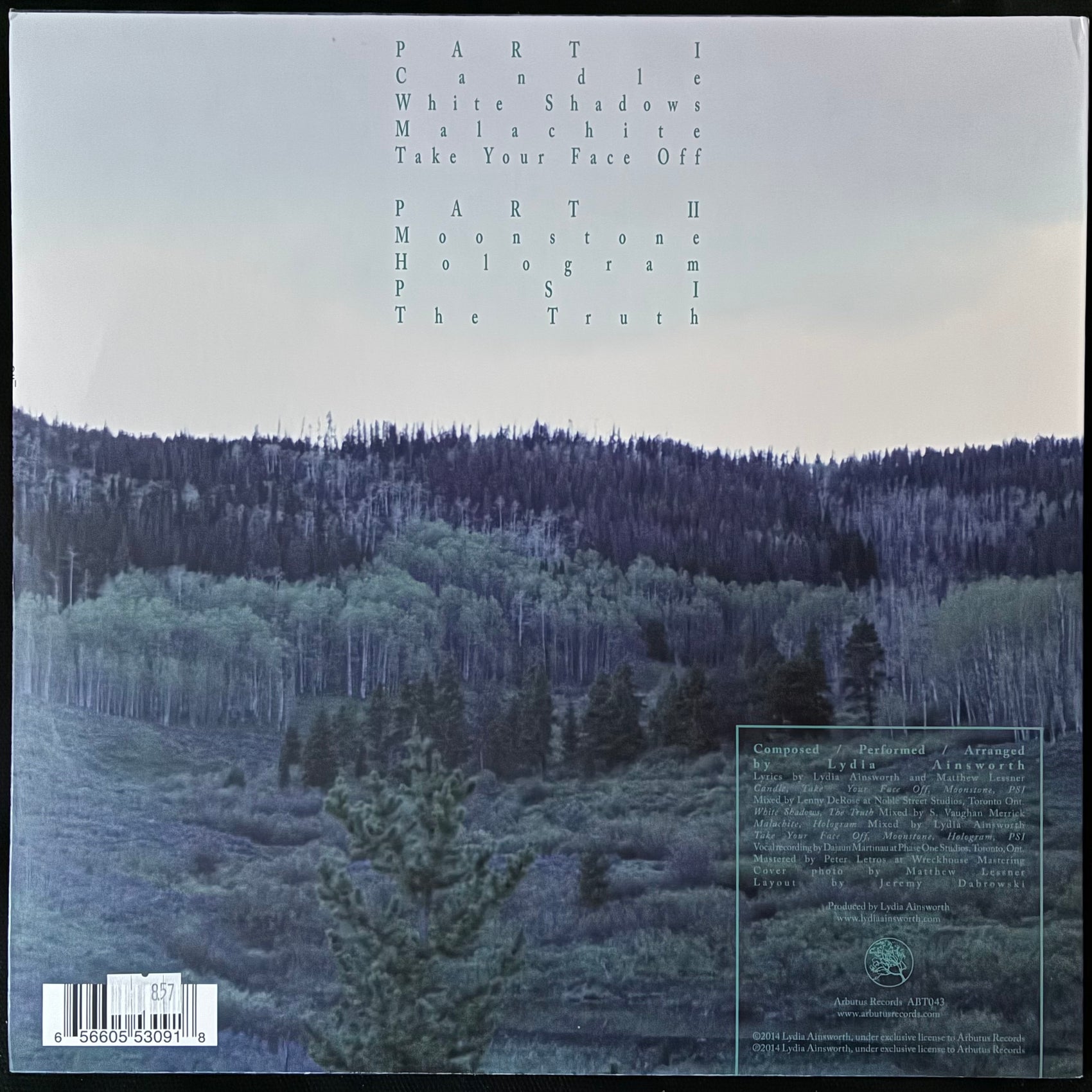 LYDIA AINSWORTH - RIGHT FROM REAL (USED VINYL 2014 CANADA M-/M-)