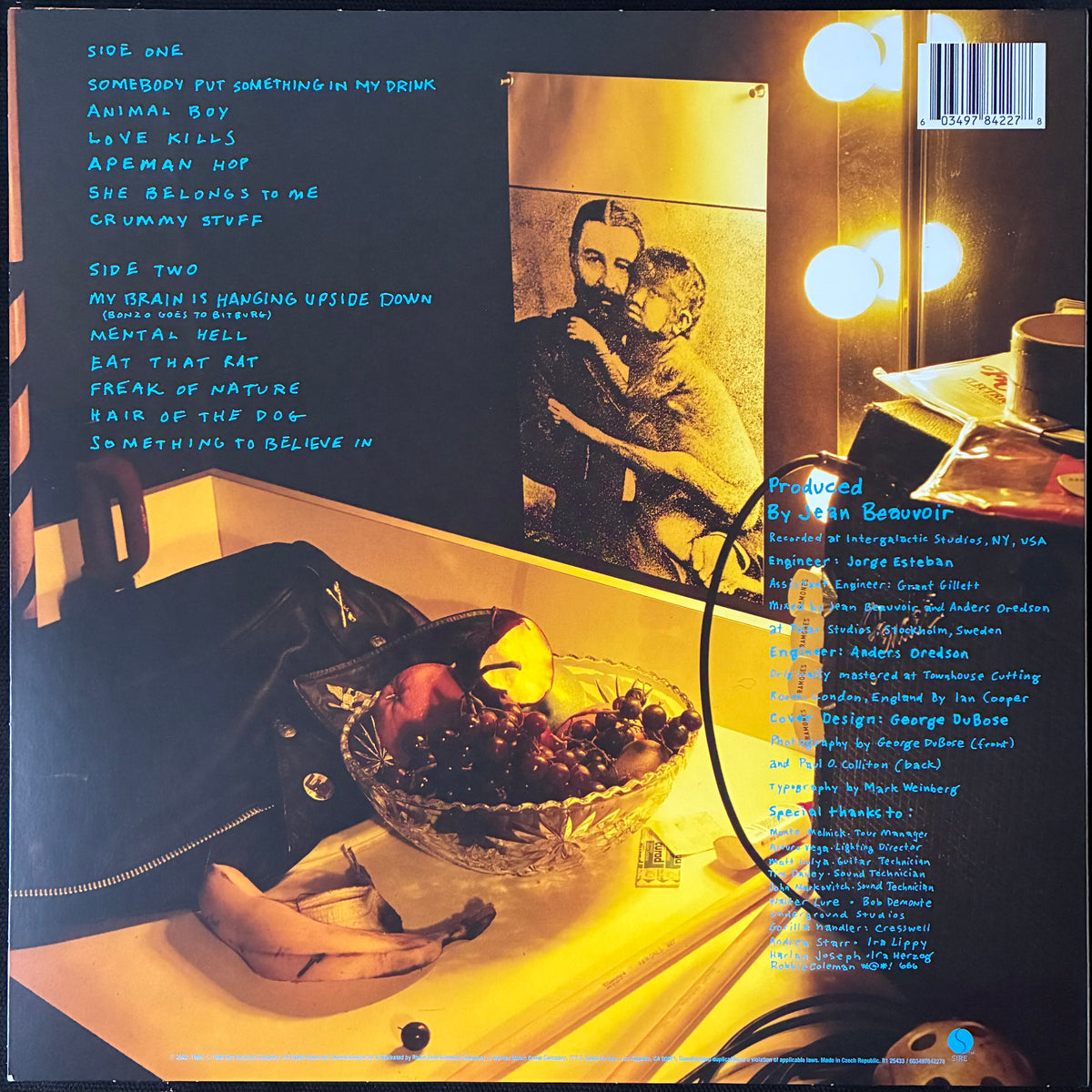 RAMONES - ANIMAL BOY (USED VINYL 2024 US M-/M-)