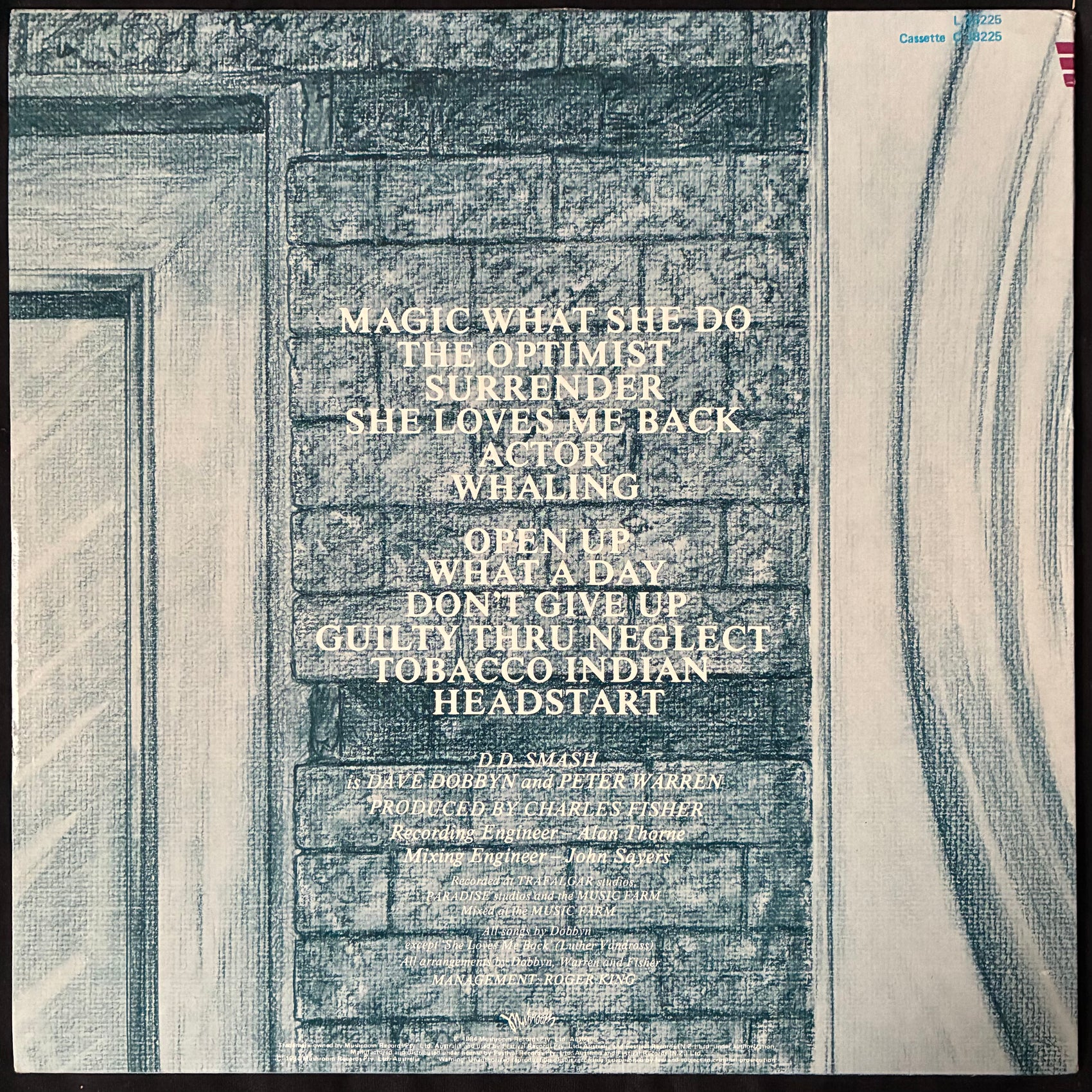 DD SMASH - THE OPTIMIST (USED VINYL 1984 AUS M-/M-)