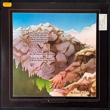 Load image into Gallery viewer, AMAZING RHYTHM ACES - HOW THE HELL DO YOU SPELL RYTHUM? (USED VINYL 1980 US M-/EX+)
