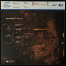 Load image into Gallery viewer, NORTHSTAR - POLLYANNA (ORANGE/BLACK SPLATTER) (USED VINYL 2023 US M-/M-)

