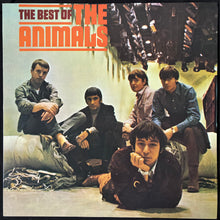 Load image into Gallery viewer, ANIMALS - THE BEST OF THE ANIMALS (CLEAR VINYL) (180GM) (USED VINYL 2014 US M-/M-)
