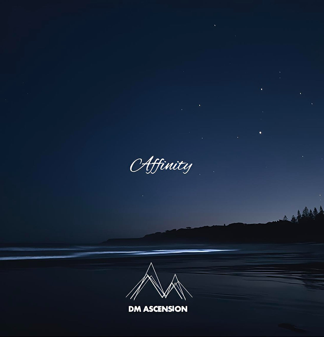DM ASCENSION - AFFINITY VINYL
