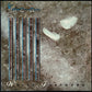 KAJAGOOGOO - WHITE FEATHERS (USED VINYL 1983 CANADA EX/M-)