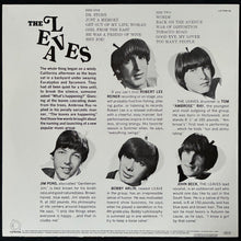 Load image into Gallery viewer, LEAVES - HEY JOE (USED VINYL 1981 GERMANY M-/M-)
