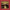 DOORS - MORRISON HOTEL (50TH ANNIVERSARY 2CD+LP) (USED BOX SET 2020 WORLDWIDE M-/M-)