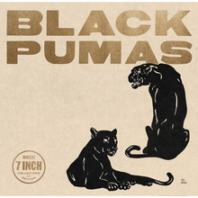 Load image into Gallery viewer, BLACK PUMAS - 7" COLLECTORS EDITION (LIMITED EDITION ×6 7" BOX SET)

