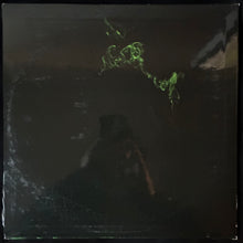 Load image into Gallery viewer, JIM O'ROURKE - SIMPLE SONGS (USED VINYL 2015 US M-/EX)
