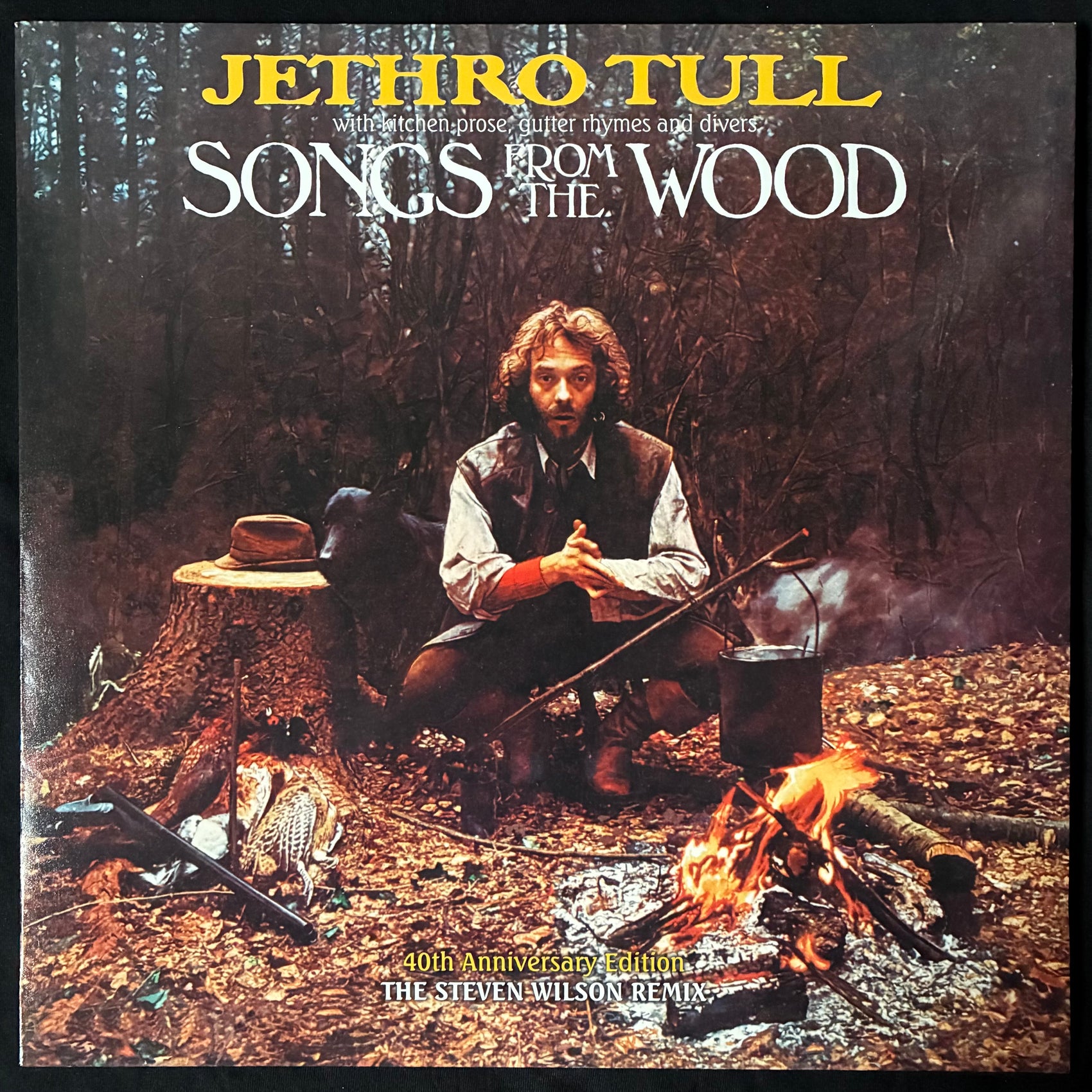 JETHRO TULL - SONGS FROM THE WOOD (40TH ANNIVERSARY - THE STEVEN WILSON REMIX) (USED VINYL 2017 EU M-/M-)