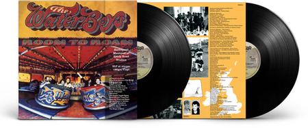 WATERBOYS - ROOM TO ROAM (2LP) (180GM/45RPM) VINYL