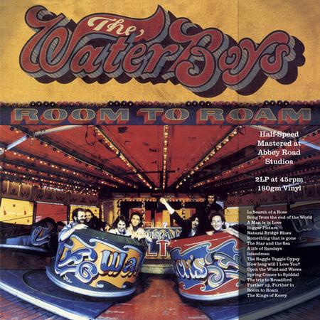 WATERBOYS - ROOM TO ROAM (2LP) (180GM/45RPM) VINYL