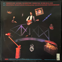 Load image into Gallery viewer, ROGER MCGUINN - BACK FROM RIO (USED VINYL 1991 US M-/EX+)
