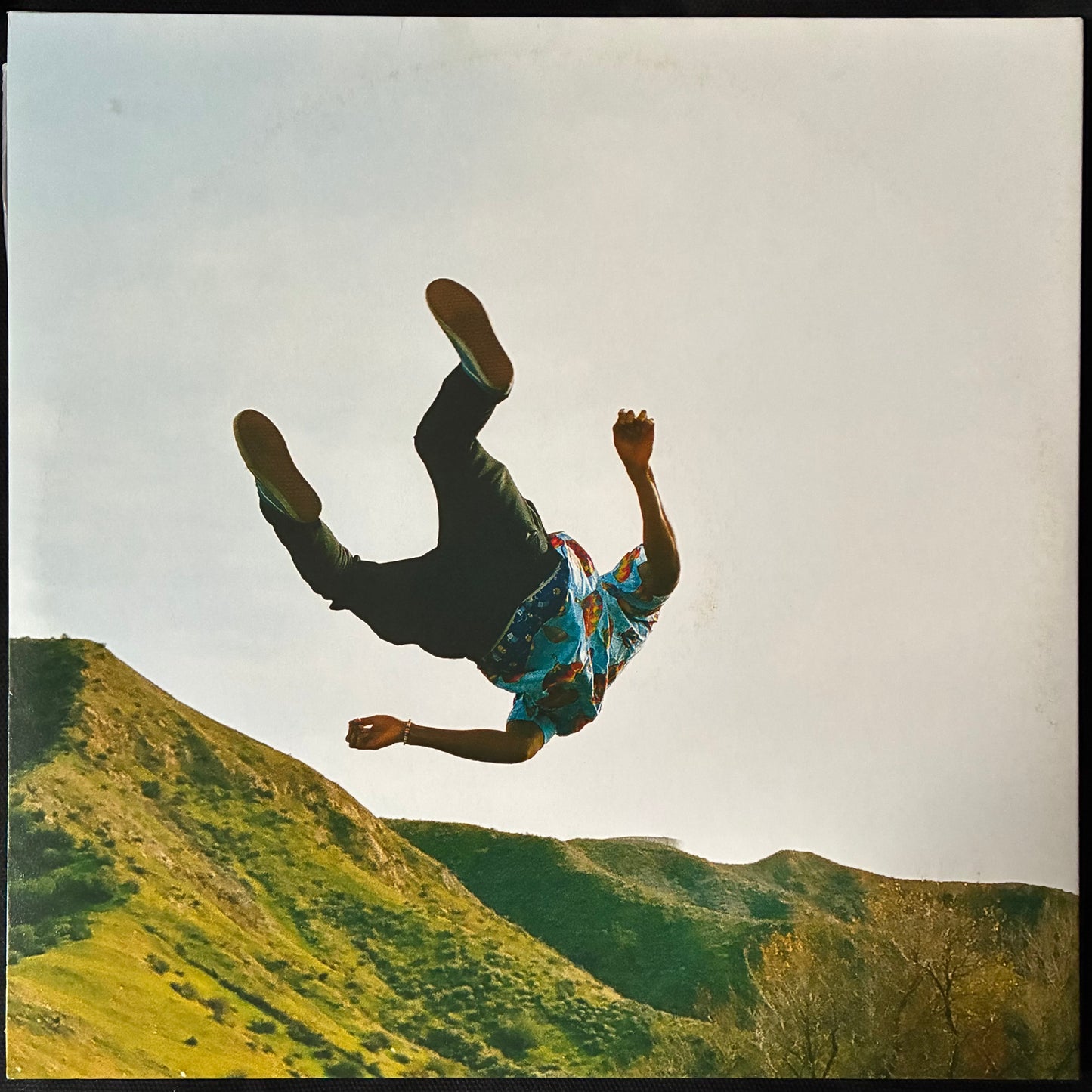 TYLER THE CREATOR - WOLF (PINK COLOURED) (2LP) (USED VINYL 2014 EU M-/EX+)