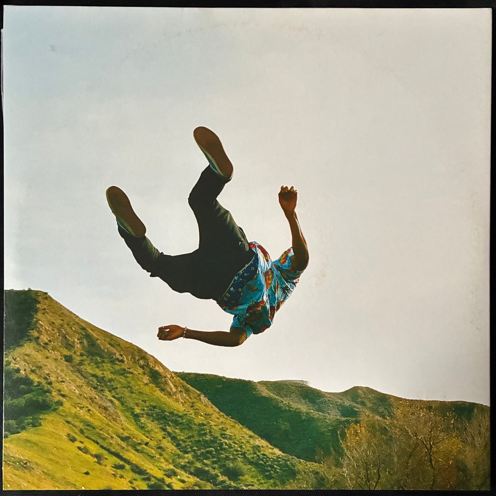 TYLER THE CREATOR - WOLF (PINK COLOURED) (2LP) (USED VINYL 2014 EU M-/EX+)