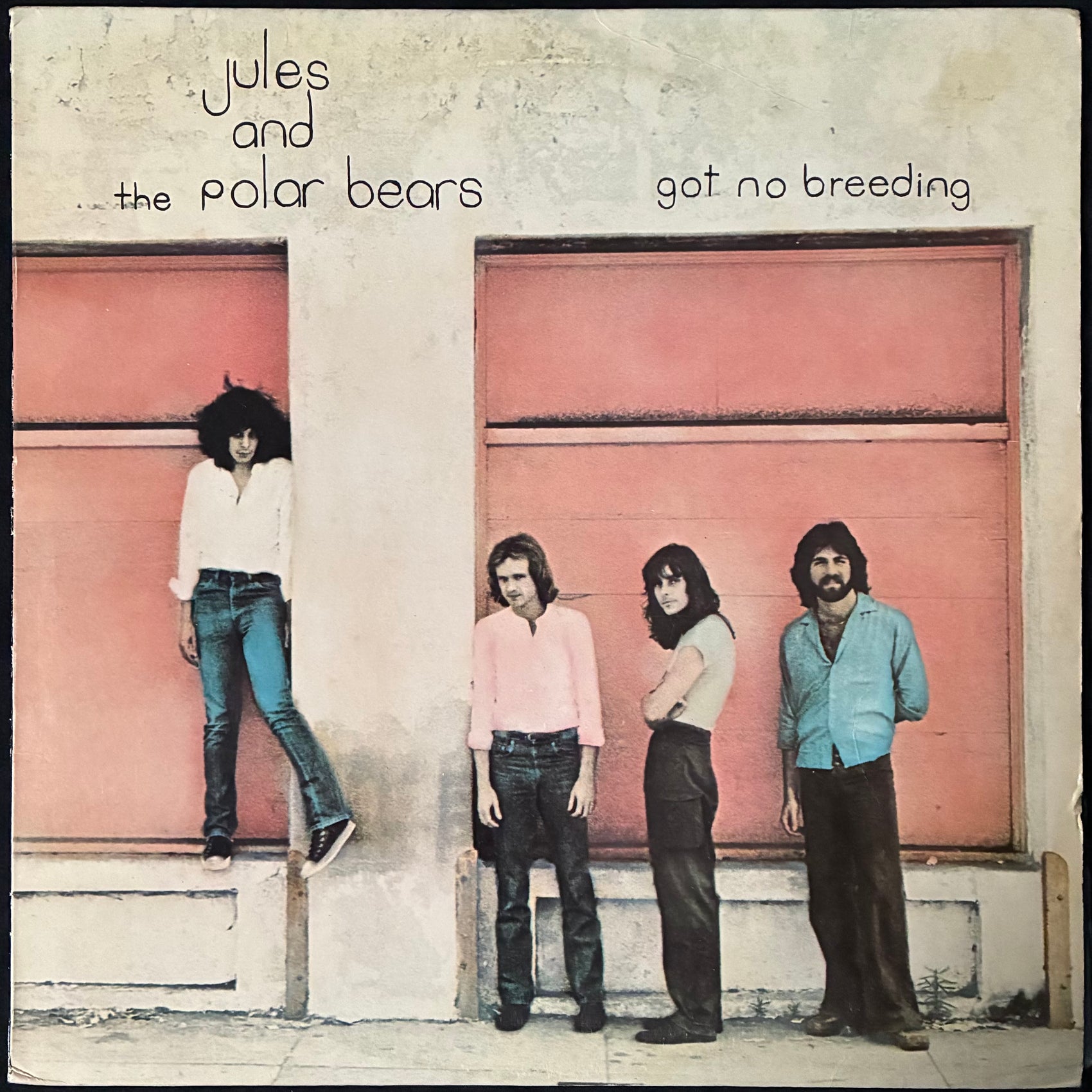 JULES AND THE POLAR BEARS - GOT NO BREEDING (USED VINYL 1978 US M-/EX)