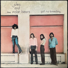 Load image into Gallery viewer, JULES AND THE POLAR BEARS - GOT NO BREEDING (USED VINYL 1978 US M-/EX)
