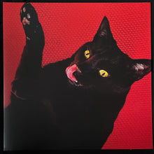 Load image into Gallery viewer, RYAN ADAMS - BIG COLORS (LP+7") (RED VINYL) (USED VINYL 2021 US M-/M-)
