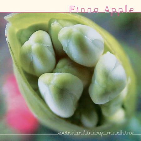 FIONA APPLE - EXTRADINARY MACHINE CD