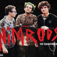 VARIOUS ARTISTS - NIMRODS OST : A GREEN DAY COMEDY (2LP) (WOODSTOCK MUD) VINYL