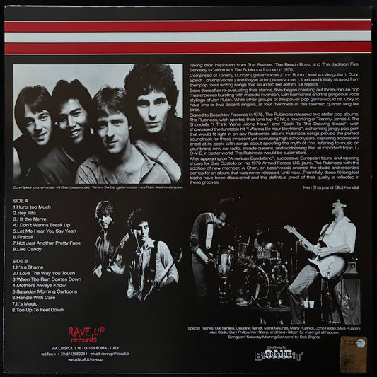 RUBINOOS - HURTS TOO MUCH (USED VINYL 2005 ITALY M-/M-)