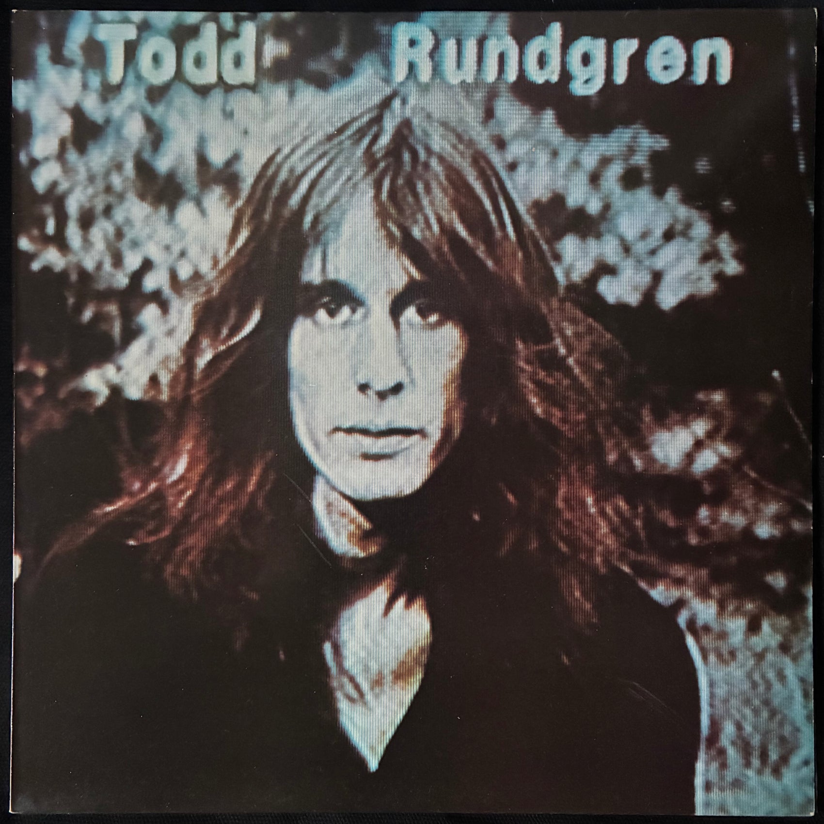 TODD RUNDGREN - HERMIT OF MINK HOLLOW (USED VINYL 1978 UK M-/M-)