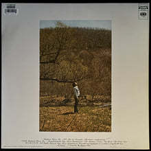 Load image into Gallery viewer, BOB DYLAN - SELF PORTRAIT (2LP) (USED VINYL 2011 US M-/EX+)
