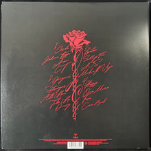 Load image into Gallery viewer, DOJA CAT - VIE (2LP) (USED VINYL 2025 US M-/M-)
