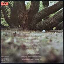 Load image into Gallery viewer, FAT MATTRESS - FAT MATTRESS (USED VINYL 1969 AUS EX/EX+)
