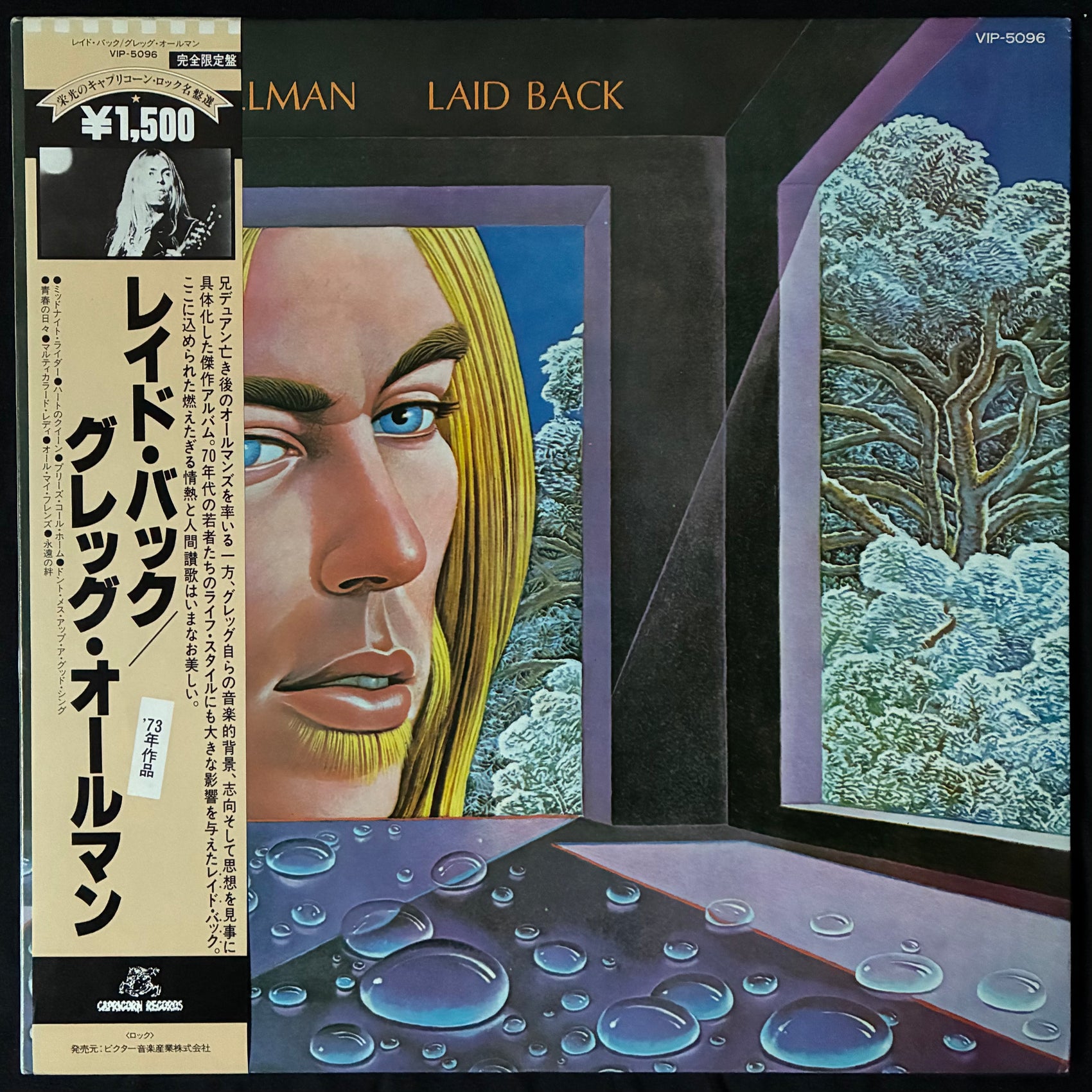 GREGG ALLMAN - LAID BACK (USED VINYL 1977 JAPAN M-/M-)