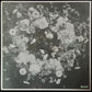DUM DUM GIRLS - ONLY IN DREAMS (LP+7") (PINK COLOURED) (USED VINYL 2011 US M-/M-)
