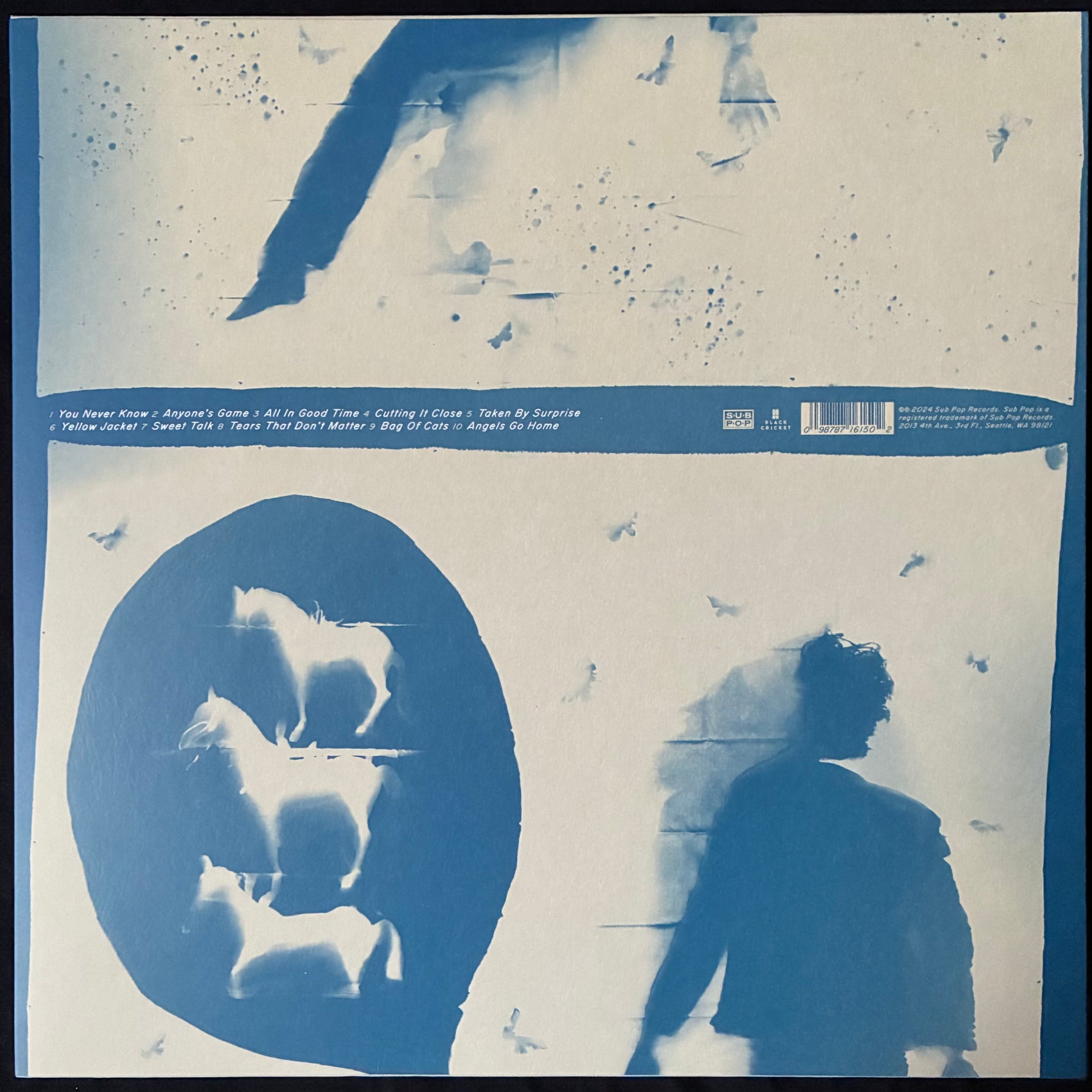IRON AND WINE - LIGHT VERSE (FIRST PRESSING) (USED VINYL 2024 US M-/M-)