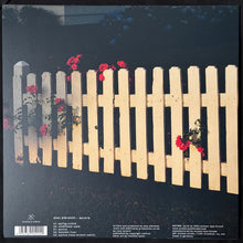 Load image into Gallery viewer, ALEX ALBRECHT - AURORA (USED VINYL 2024 GERMANY M-/M-)
