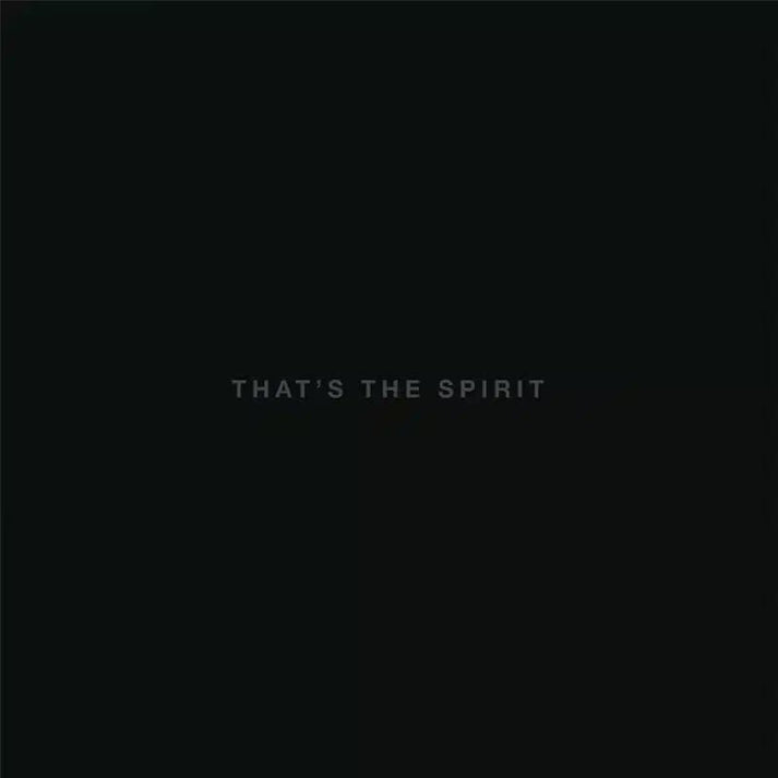 BRING ME THE HORIZON - THATS THE SPIRIT VINYL