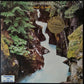 CAT STEVENS - BACK TO EARTH (USED VINYL 1978 US EX+/EX)