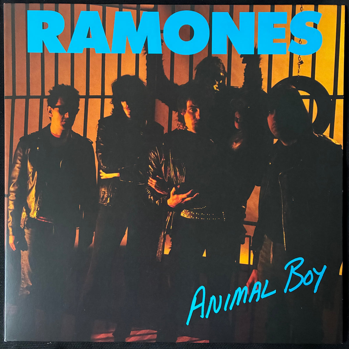 RAMONES - ANIMAL BOY (USED VINYL 2024 US M-/M-)