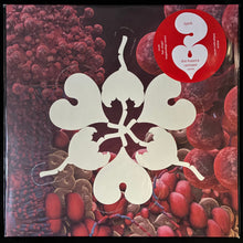 Load image into Gallery viewer, BJÖRK - THE FOSSORA REMIXES (12") (MILKY CLEAR COLOURED) (USED VINYL 2023 UK M-/M-)
