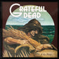 GRATEFUL DEAD - WAKE OF THE FLOOD (USED VINYL 1988 UK M-/EX)