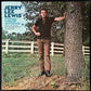 JERRY LEE LEWIS - SOMETIMES A MEMORY AIN'T ENOUGH (USED VINYL 1973 US EX+/EX+)