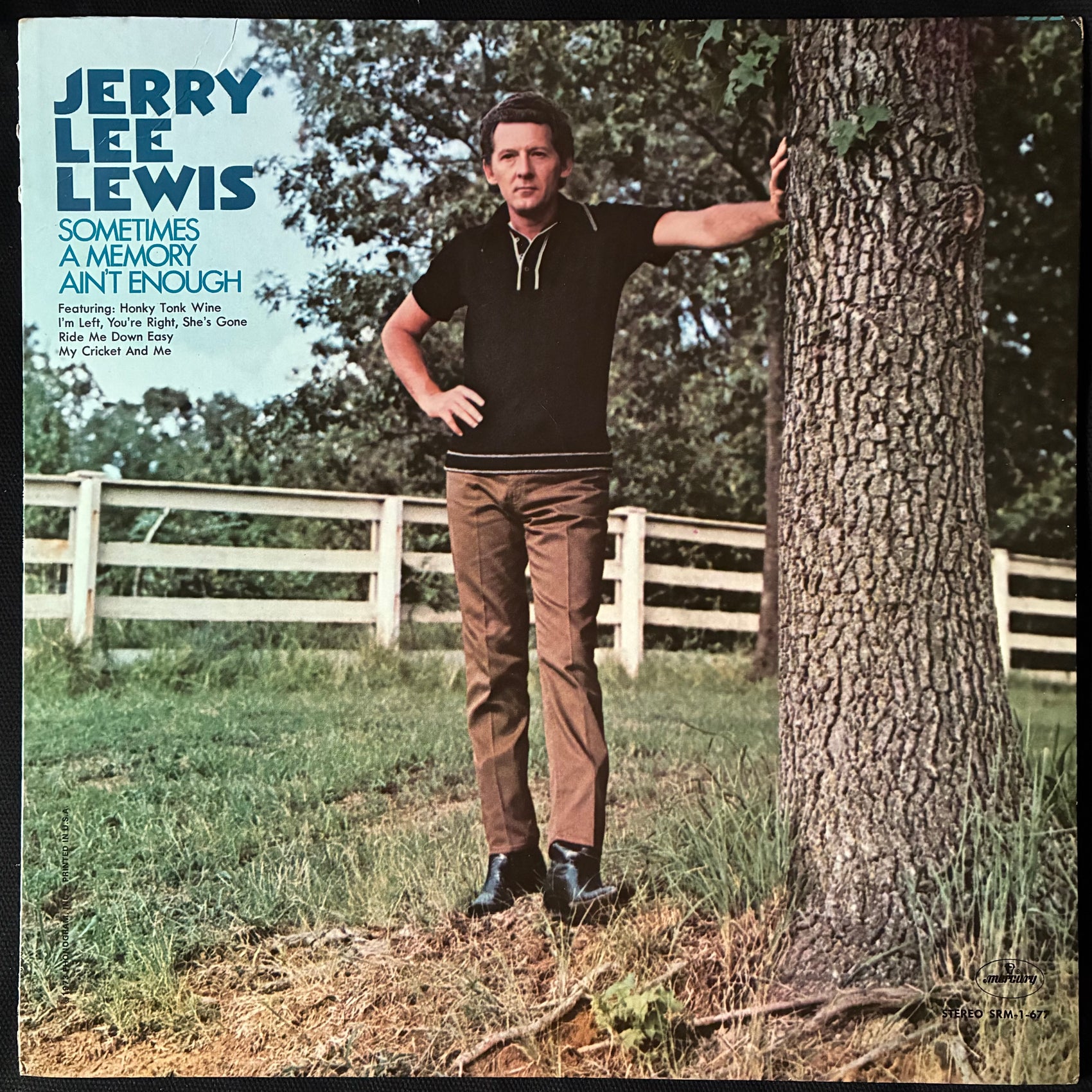 JERRY LEE LEWIS - SOMETIMES A MEMORY AIN'T ENOUGH (USED VINYL 1973 US EX+/EX+)