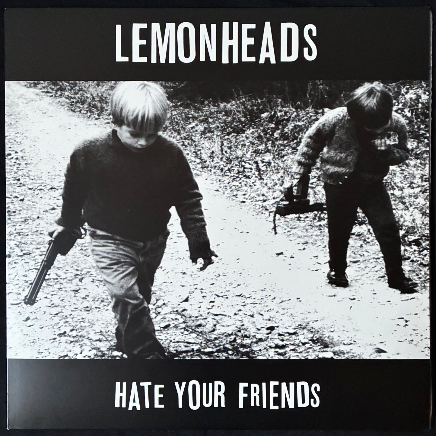 LEMONHEADS - HATE YOUR FRIENDS (180GM) (USED VINYL 2013 UK M-/M-)