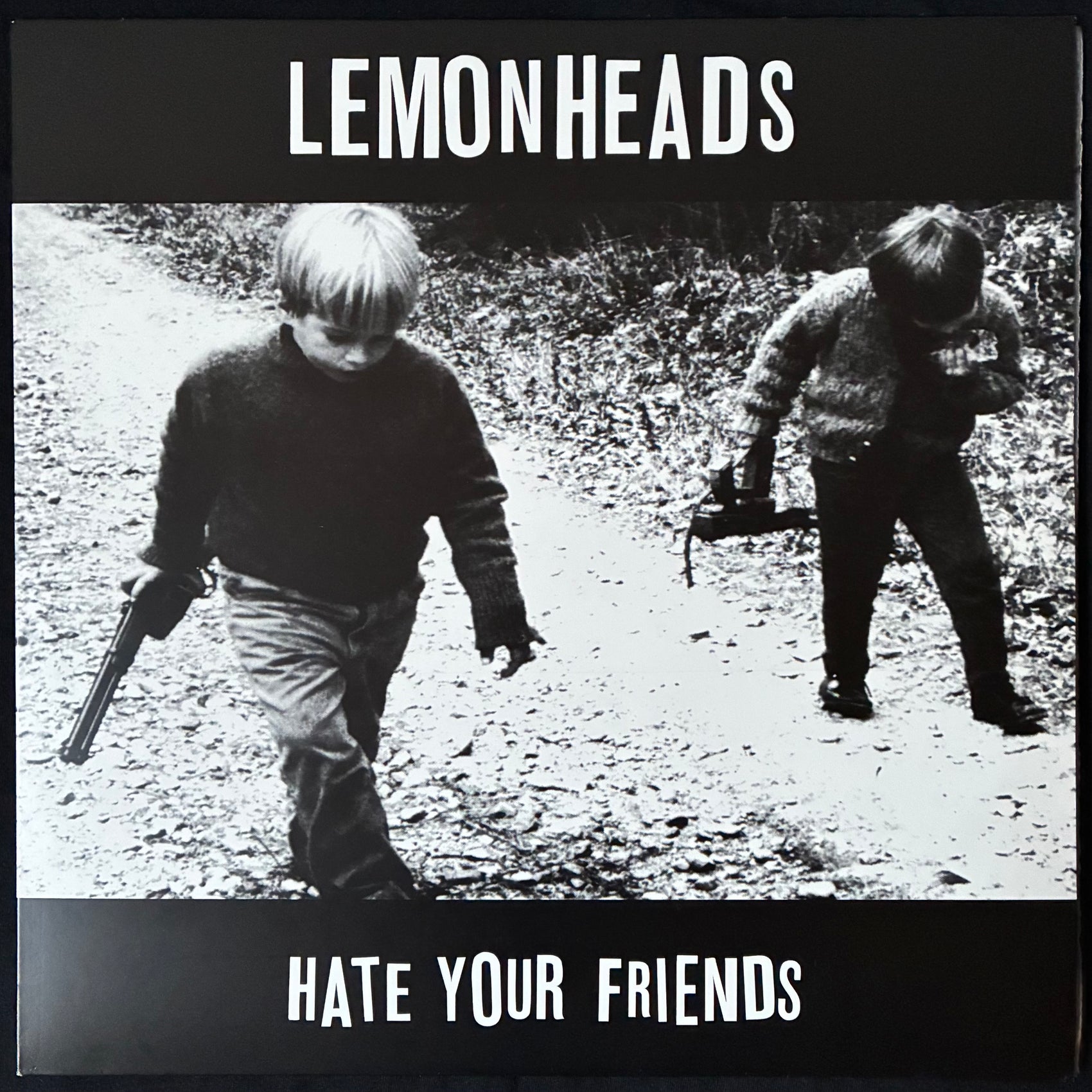 LEMONHEADS - HATE YOUR FRIENDS (180GM) (USED VINYL 2013 UK M-/M-)