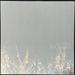 SHINS - OH, INVERTED WORLD (USED VINYL US M-/M-)