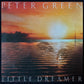 PETER GREEN - LITTLE DREAMER (USED VINYL 1980 GERMANY EX+/EX+)