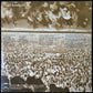 TODD RUNDGREN - TODD (2LP) (USED VINYL 1974 US EX+/EX-)
